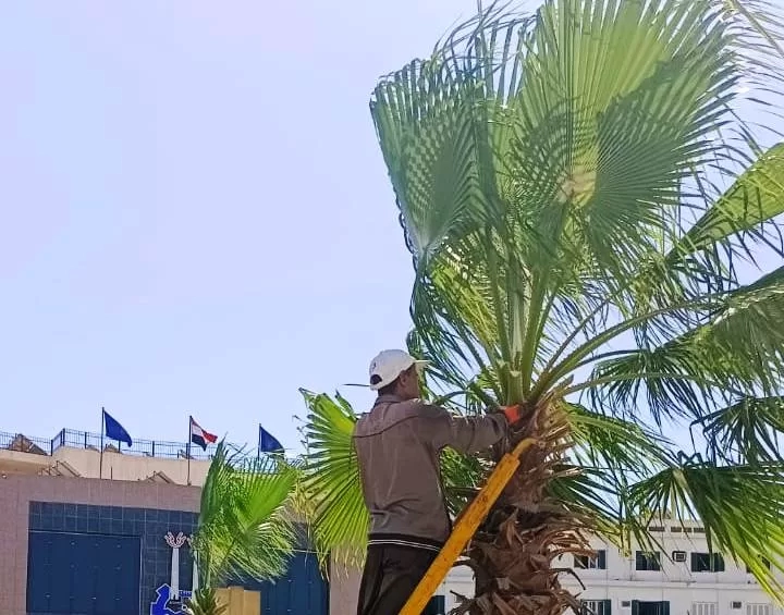 إستعداداً لعيد الفطر المبارك وتنفيذاً لتكليفات الدكتور إسماعيل كمال .. نائب المحافظ يقود حملة ليلية على عدد من المناطق السكنية والأسواق بمدينة أسوان . 19 - جريدة المساء