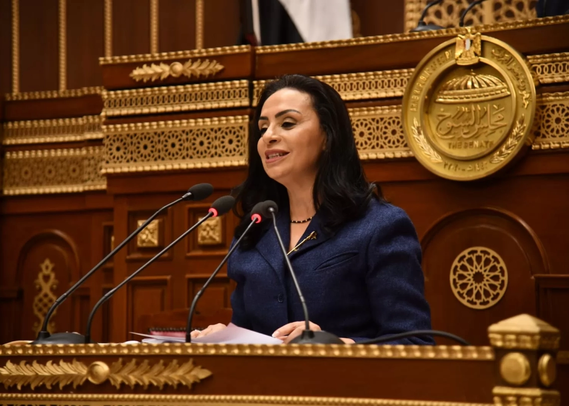 د. مايا مرسى وزيرة التضامن الاجتماعى