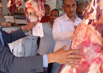 محافظ أسوان : تكثيف جهود الطب البيطرى والجهات المعاونة بالحملات التفتيشية .. 17 - جريدة المساء