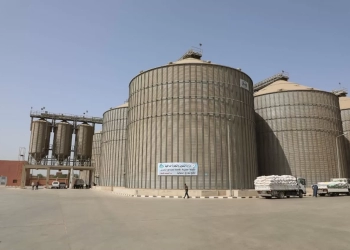 13 صومعة بسعة تخزينية (135) ألف طن لتوريد القمح.. بالمنوفية 23 - جريدة المساء