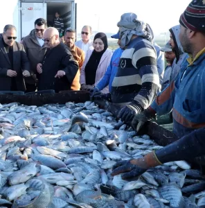 محافظ الشرقية يفتتح موسم صيد الأسماك بمزرعة العباسة بأبو حماد 29 - جريدة المساء