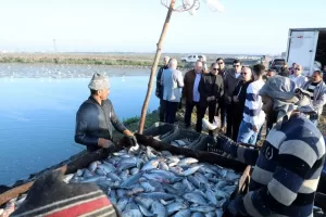 محافظ الشرقية يفتتح موسم صيد الأسماك بمزرعة العباسة بأبو حماد 23 - جريدة المساء