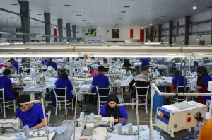 وزيرا العمل المصري والتركي ومحافظ الشرقية يزورون شركة تركية بمدينة العاشر من رمضان 21 - جريدة المساء