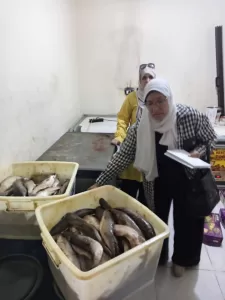 "تموين الجيزة" تضبط ١.٣ طن من الفسيخ والرنجة غير صالحة للاستهلاك الآدمي 21 - جريدة المساء