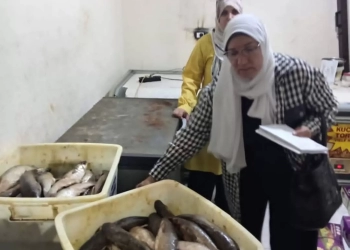"تموين الجيزة" تضبط ١.٣ طن من الفسيخ والرنجة غير صالحة للاستهلاك الآدمي 19 - جريدة المساء