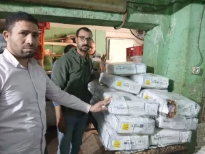 "تموين الجيزة" تضبط ١.٣ طن من الفسيخ والرنجة غير صالحة للاستهلاك الآدمي 27 - جريدة المساء