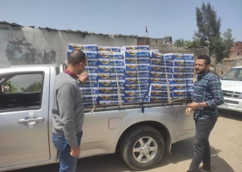 ضبط 20 طن رنجة وأسماك مدخنة فاسدة في حملة تموينية موسعة بالشرقية 17 - جريدة المساء