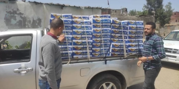 ضبط 20 طن رنجة وأسماك مدخنة فاسدة في حملة تموينية موسعة بالشرقية 1 - جريدة المساء