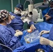 الصحة: فريق طبي انقذ سيدة حامل وجنينها عبر جراحة قلب مفتوح للأم بمستشفى الشيخ زايد التخصصي 1 - جريدة المساء