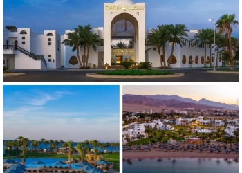 قطاع الأعمال": فنادق "القابضة للسياحة" تسجل معدلات إشغال تصل إلى 100% خلال إجازة عيد الفطر 15 - جريدة المساء