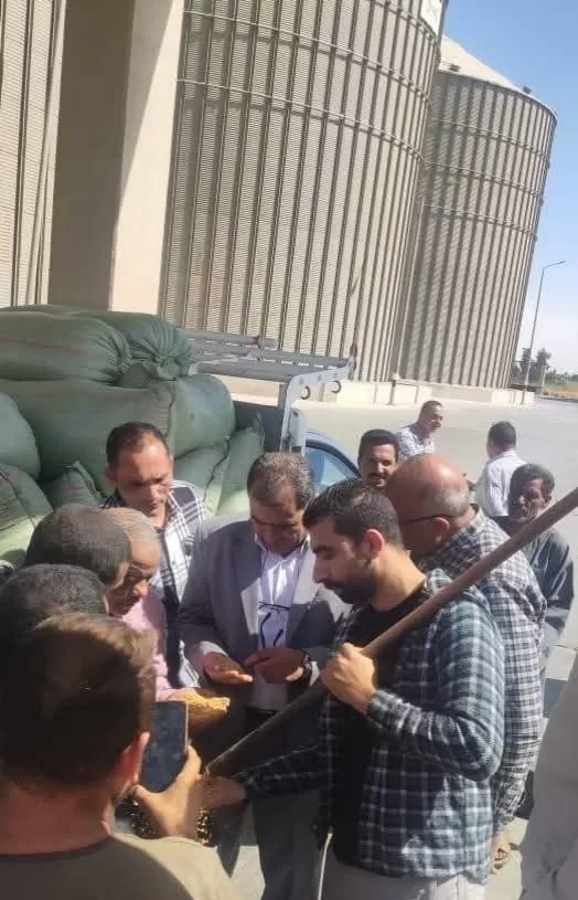 بدء موسم توريد القمح لعام 2025 بصومعتي بني مزار والشيخ فضل بإجمالي 273,911 طنًا 17 - جريدة المساء