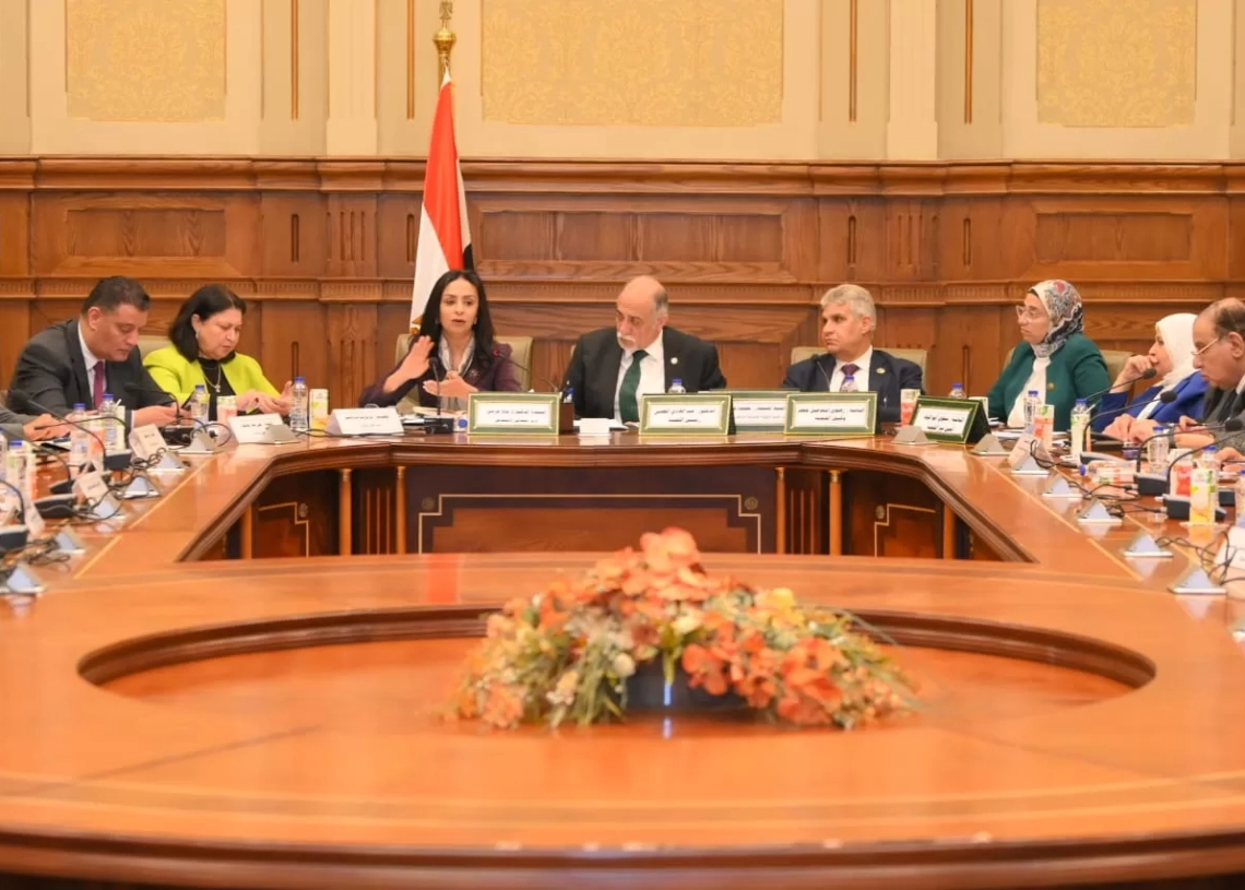 لجنة مشتركة بين التضامن والصحة للتيسير على الأشخاص ذوي الإعاقة لاستخراج بطاقة الخدمات المتكاملة 19 - جريدة المساء