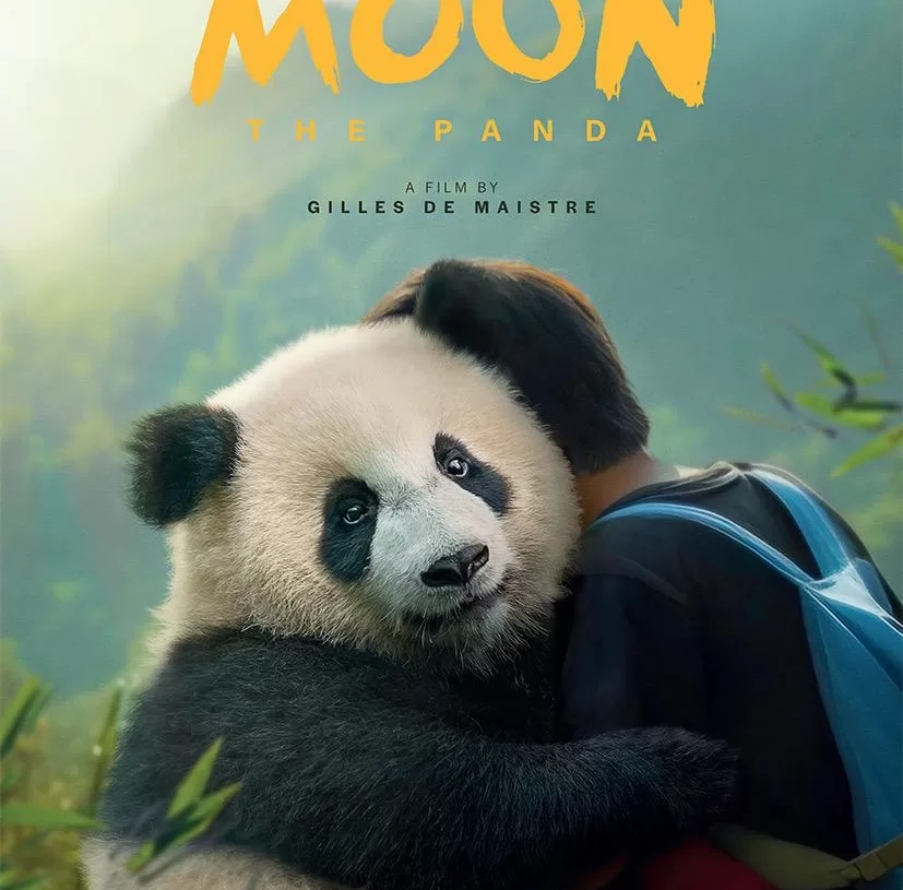 انطلاق عرض"Moon the Panda" في صالات السينما 17 - جريدة المساء