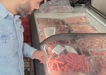 محافظة الجيزة تضبط 91 طن مصنعات لحوم ودواجن وأسماك فاسدة في ٣ شهور 29 - جريدة المساء