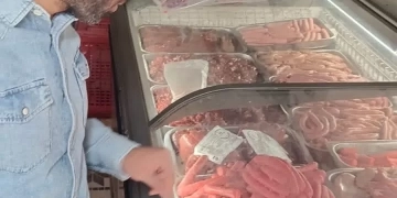 محافظة الجيزة تضبط 91 طن مصنعات لحوم ودواجن وأسماك فاسدة في ٣ شهور 1 - جريدة المساء