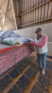 ب2200 جنيه للأردب.. "الجيزة" تفتح أبواب الصوامع العشرة لاستقبال القمح من المزارعين 5 - جريدة المساء