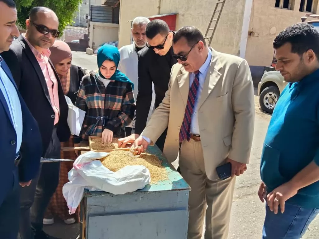 انطلاق موسم توريد القمح بدمياط.. واستلام أول الكميات وسط استعدادات مكثفة ومتابعة يومية 23 - جريدة المساء