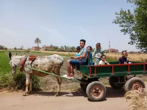 شم النسيم على طريقة الشرقية: "كارو" وتوت وحديقة الحيوان كاملة العدد 28 - جريدة المساء