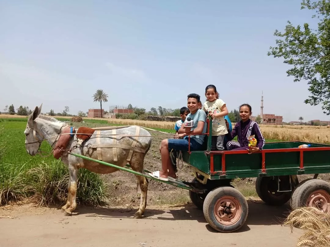 شم النسيم على طريقة الشرقية: "كارو" وتوت وحديقة الحيوان كاملة العدد 18 - جريدة المساء