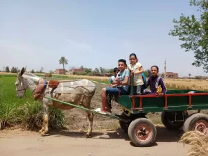 شم النسيم على طريقة الشرقية: "كارو" وتوت وحديقة الحيوان كاملة العدد 22 - جريدة المساء