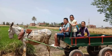 شم النسيم على طريقة الشرقية: "كارو" وتوت وحديقة الحيوان كاملة العدد 1 - جريدة المساء