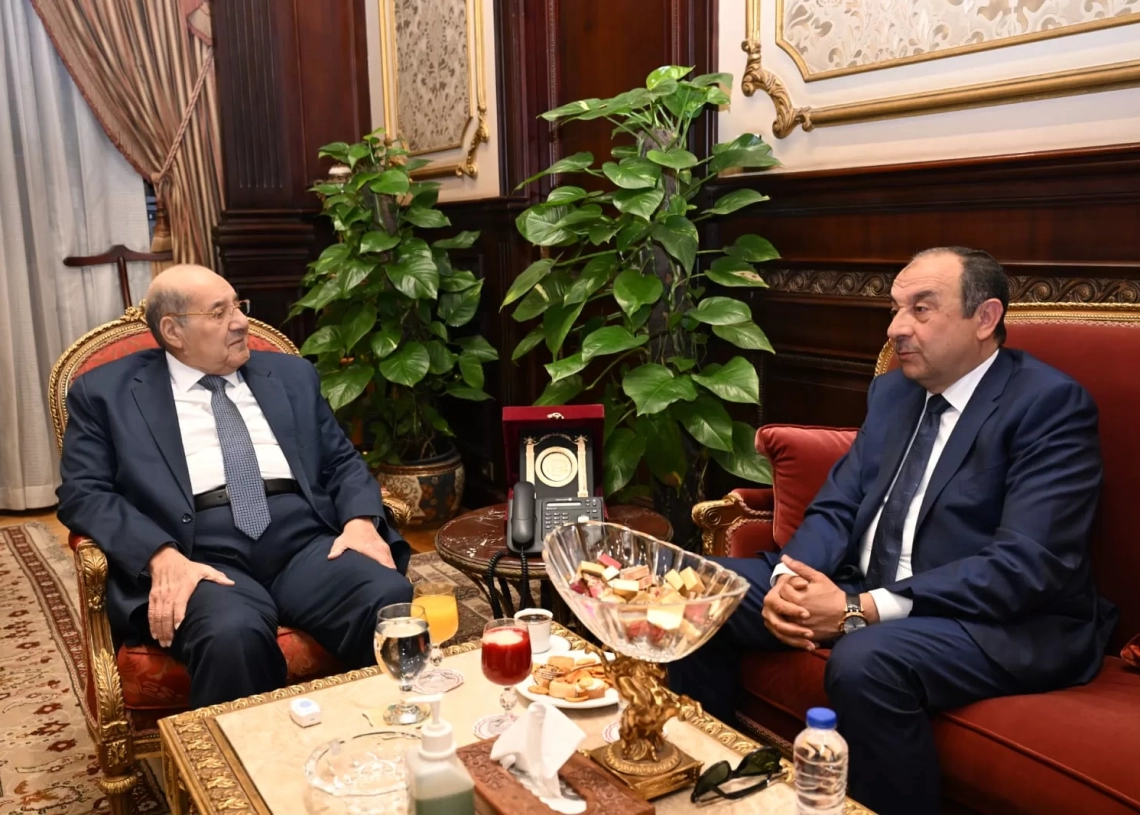 رئيس مجلس الشيوخ يستقبل وزير قطاع الأعمال العام 19 - جريدة المساء