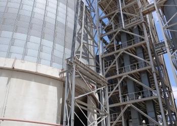 توريد أكثر من 773 ألف طن قمح حتى الآن بالإسكندرية 22 - جريدة المساء