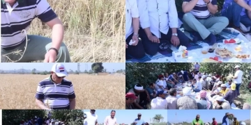 رئيس جامعة سوهاج يتفقد حصاد القمح بـ«حي الكوثر» 1 - جريدة المساء