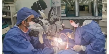 زرع الأمل في آذان الصغار: 8 عمليات ناجحة لزراعة القوقعة بمستشفى الهلال بسوهاج ترفع الحصيلة إلى 449 حالة 1 - جريدة المساء