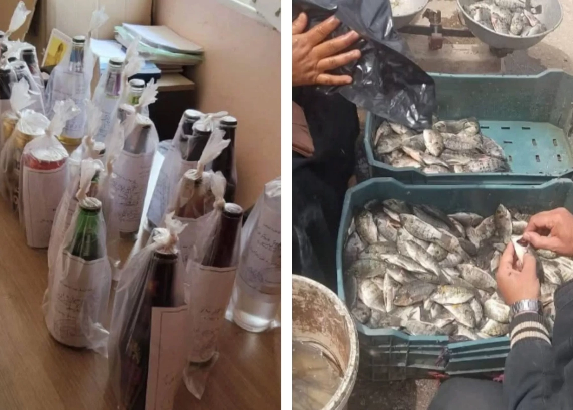 تحرير 11 محضر مخالفة صحية بأبوخليفة القنطرة غرب 19 - جريدة المساء تحرير 11 محضر مخالفة صحية بأبوخليفة القنطرة غرب 18 - جريدة المساء