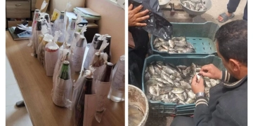 تحرير 11 محضر مخالفة صحية بأبوخليفة القنطرة غرب 2 - جريدة المساء تحرير 11 محضر مخالفة صحية بأبوخليفة القنطرة غرب 1 - جريدة المساء