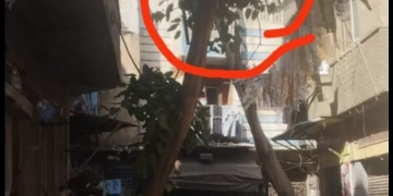 حى السيدة زينب يستجيب لقراء « المساء » 1 - جريدة المساء