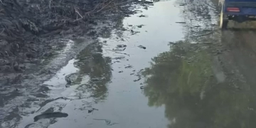 صورة مهداه إلى وزير الرى 1 - جريدة المساء