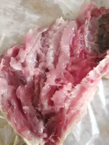 صناعةالفسيخ فى المنزل بطريقة احترافية 21 - جريدة المساء صناعةالفسيخ فى المنزل بطريقة احترافية 20 - جريدة المساء