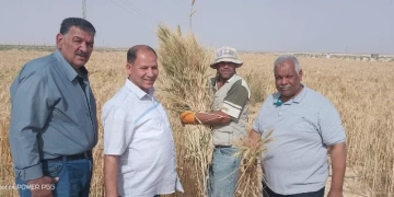 تزامناً مع العيد القومي لسيناء.. مركز بحوث الصحراء يواصل دعم المزارعين ميدانياً رغم التحديات المناخية 1 - جريدة المساء