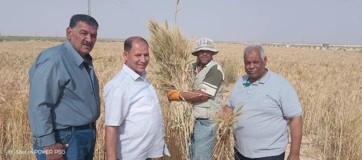 تزامناً مع العيد القومي لسيناء.. مركز بحوث الصحراء يواصل دعم المزارعين ميدانياً رغم التحديات المناخية 17 - جريدة المساء