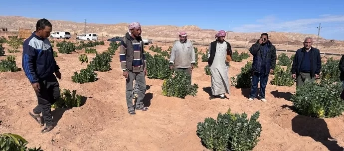 بحوث الصحراء : تعاون دولي لتعزيز التنمية المستدامة في أرض الفيروز 18 - جريدة المساء بحوث الصحراء : تعاون دولي لتعزيز التنمية المستدامة في أرض الفيروز 17 - جريدة المساء