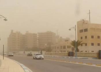 محافظة الجيزة تقدم عدة إرشادات للمواطنين بسبب العاصفة الترابية المتوقعة: ابعدوا عن الأشجار وأعمدة الكهرباء.. وازيحوا أغطية السيارات 18 - جريدة المساء