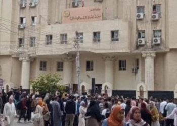بعد الحكم بالمؤبد.. "أولياء أمور مصر" لأم طفل دمنهور: أنتِ قدوة وتستحقي "الأم المثالية" 17 - جريدة المساء
