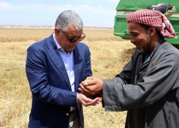 محافظ الإسماعيلية يشدد على متابعة توريد "الذهب الأصفر" ويكافح تهريب الأقماح 23 - جريدة المساء
