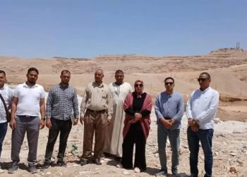 سوهاج تسترد صدارتها فى صناعة تجفيف البصل والثوم بإنشاء مصنع جديد بحي الكوثر 23 - جريدة المساء