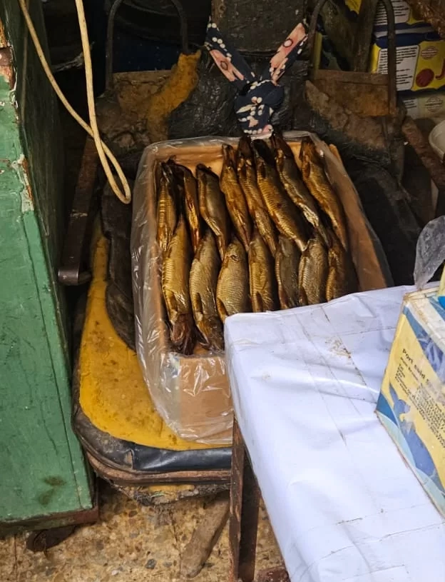 ضبط واعدام طن فسيخ ورنجة وأسماك مجمدة في حملة بالمنصورة 19 - جريدة المساء