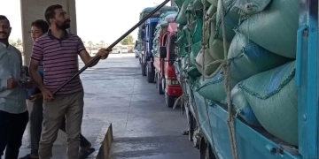 توريد 68 ألف طن من القمح للشون والصوامع ضمن موسم حصاد 2025 بالمنيا 10 - جريدة المساء توريد 68 ألف طن من القمح للشون والصوامع ضمن موسم حصاد 2025 بالمنيا 9 - جريدة المساء