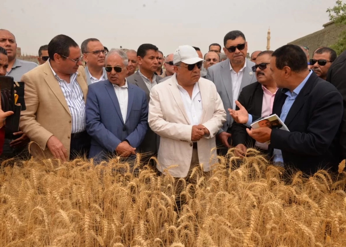 محافظ الدقهلية يطلق موسم حصاد القمح من السنبلاوين 19 - جريدة المساء