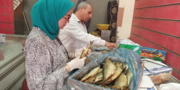 محافظ بني سويف يوجه رؤساء المدن بتكثيف الحملات على الأسواق  وأماكن تداول السلع الغذائية تزامنًا مع أعياد الربيع وشم النسيم 1 - جريدة المساء