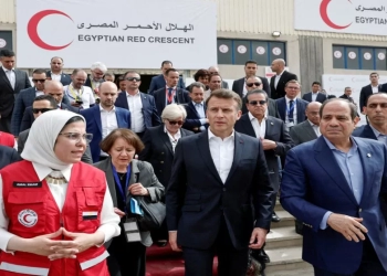 مديرة الهلال الأحمر المصرى