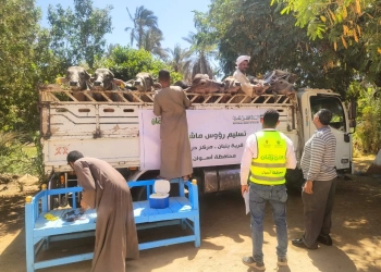 تسليم مشاريع تنموية ورؤوس مواشي للأولى بالرعاية بقرية بنبان بمركز دراو بمحافظة أسوان 33 - جريدة المساء