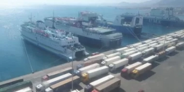 وصول 1700 راس عجول حية بوزن 510 طن لميناء سفاجا 1 - جريدة المساء