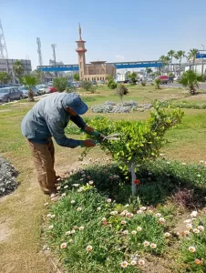 "مكتبة على الرصيف".. مبادرة شعبية في قلب الدخيلة تشعل شغف القراءة بدعم من حي العجمي 21 - جريدة المساء