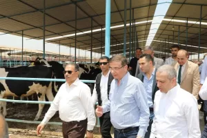 لتدعم صغار المربين بتوفير الروؤس المحسنة ذات الإنتاجية العالية وتوفير فرص العمل.. وزير الزراعة و محافظ الشرقية ورئيس البنك الزراعي يطلقون المرحلة الثانية من مبادرة "إحلم" لدعم صغار المربين بقرية التلين بمنيا القمح 54 - جريدة المساء